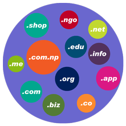 Domain Registration